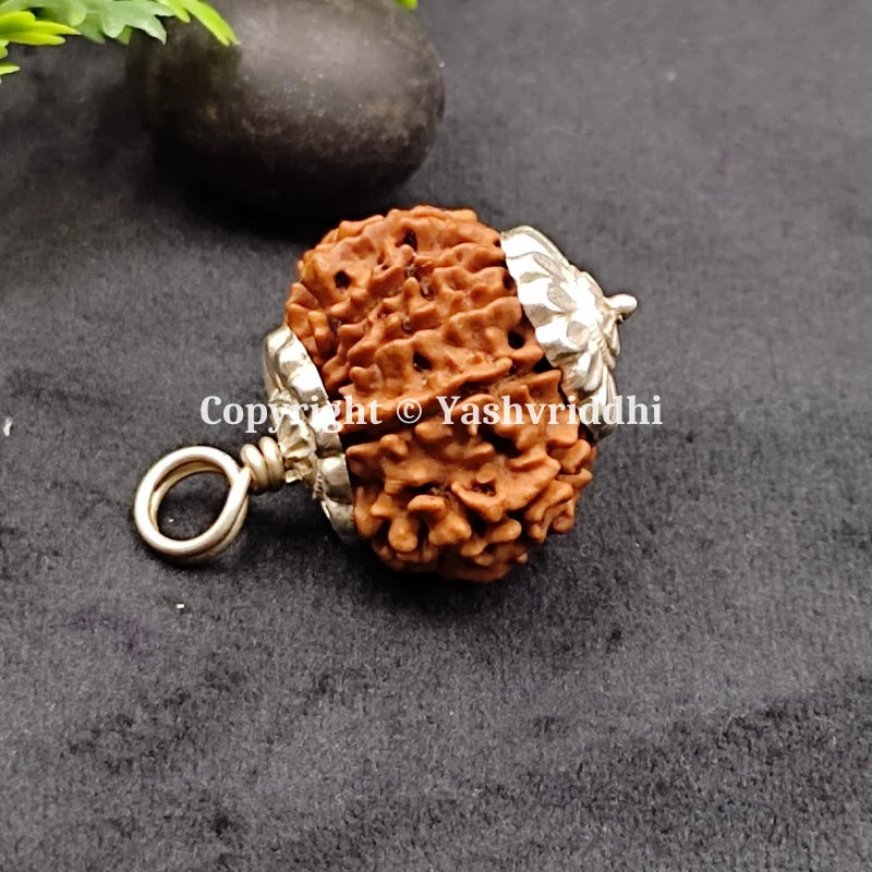11 Mukhi Rudraksha Pendant 11 Face-02 front view