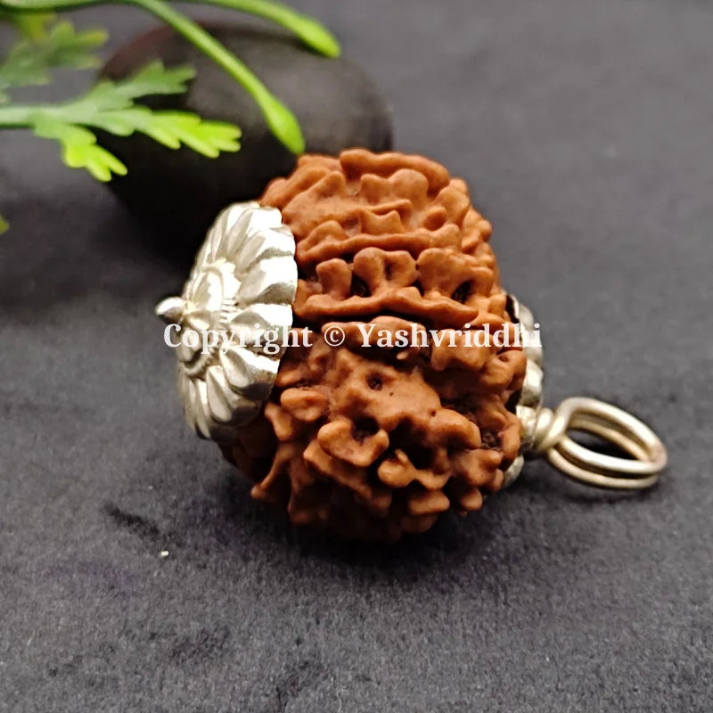 11 Mukhi Rudraksha Pendant 11 Face-02 front view