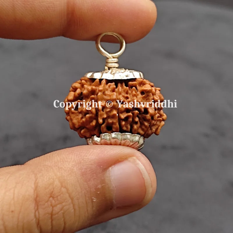 11 Mukhi Rudraksha Pendant 11 Face-02 front view