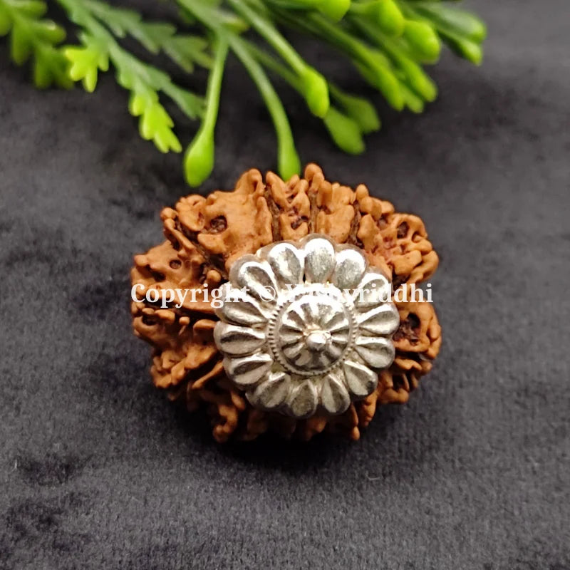 11 Mukhi Rudraksha Pendant 11 Face-02 front view