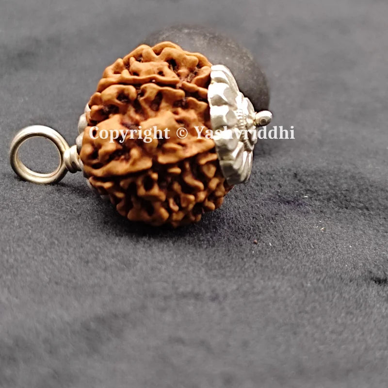 11 Mukhi Rudraksha Pendant with X-Ray and Certified | 11 Face-04