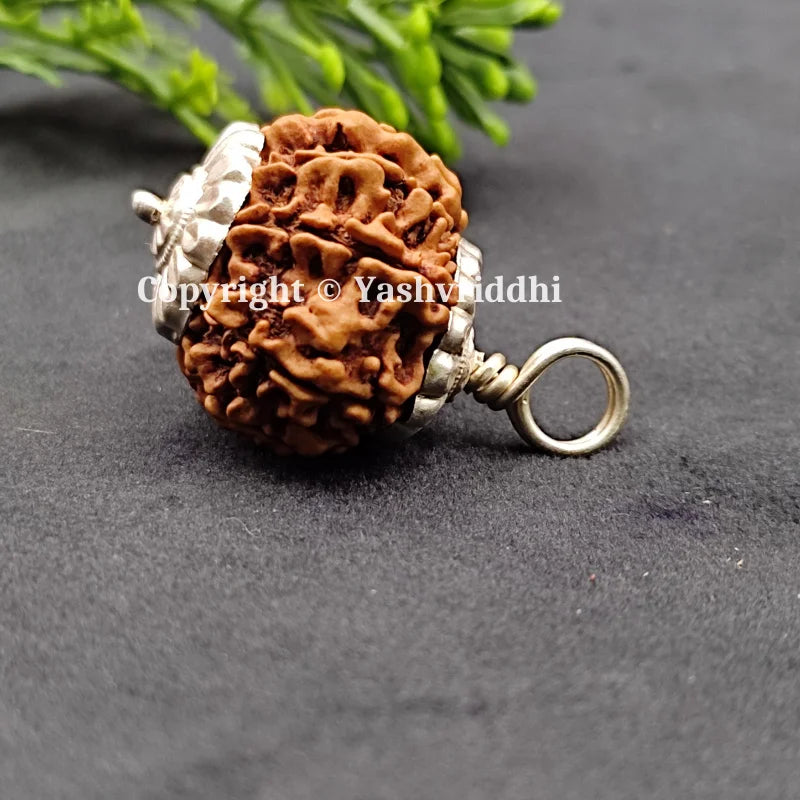 11 Mukhi Rudraksha Pendant 