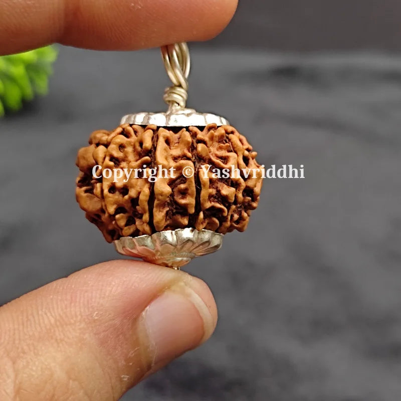 11 Mukhi Rudraksha Pendant with X-Ray and Certified