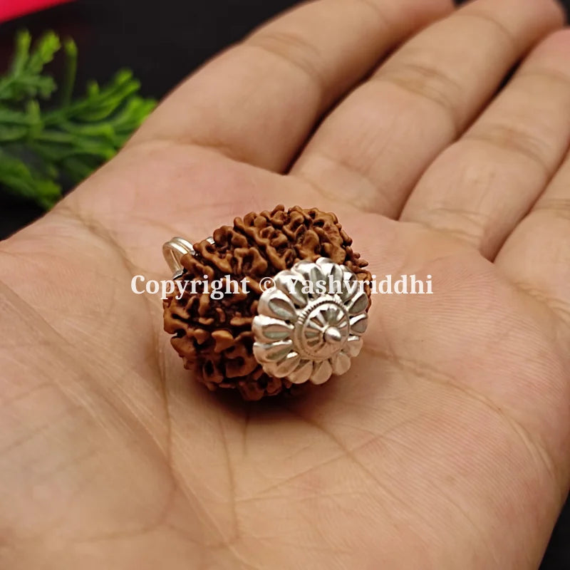 11 Mukhi Rudraksha Pendant with X-Ray and Certified 