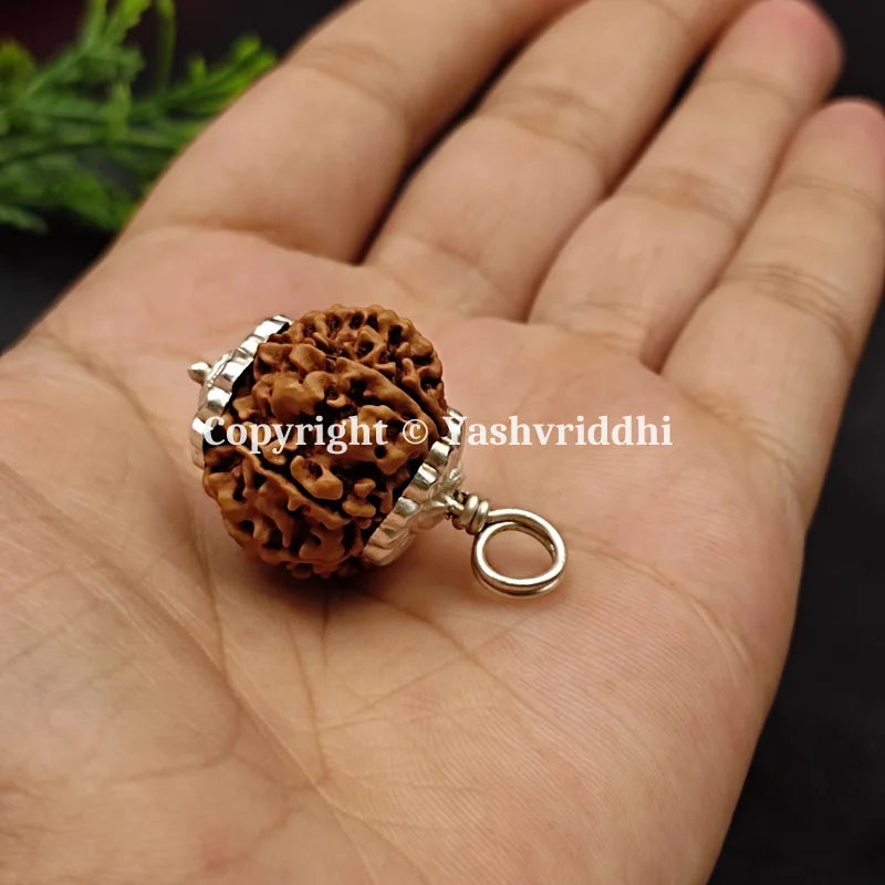 11 Mukhi Rudraksha Pendant with X-Ray and Certified