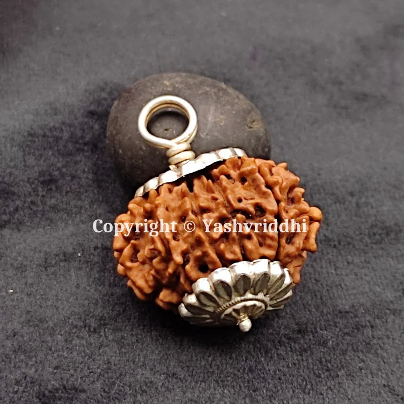 11 Mukhi Rudraksha Pendant 11 Face-02 front view