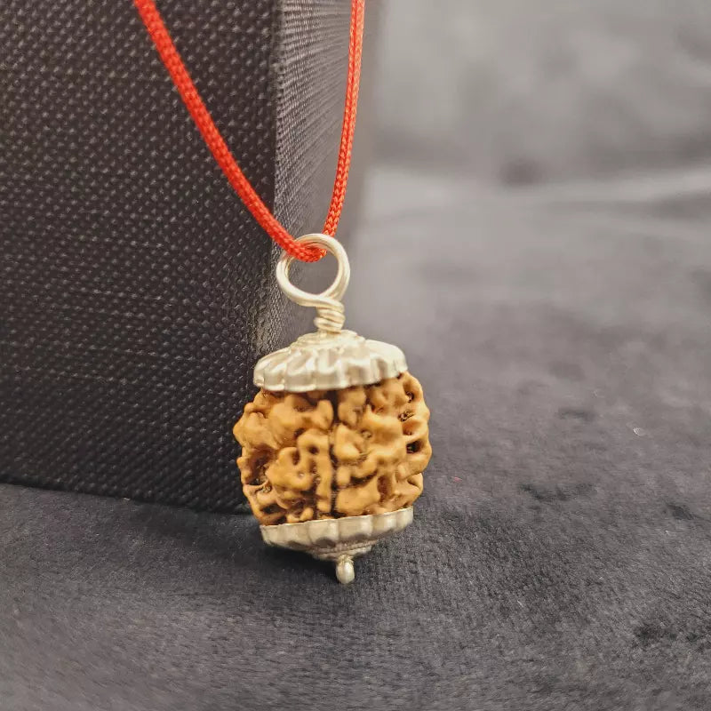 3 Mukhi Rudraksha Pendant 