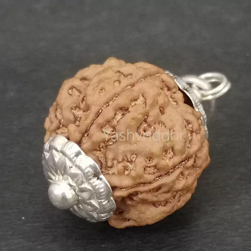 5 Mukhi Nepali Rudraksha Pendant | Certified 5 Face Rudraksha for Jap, Meditation & Prayer