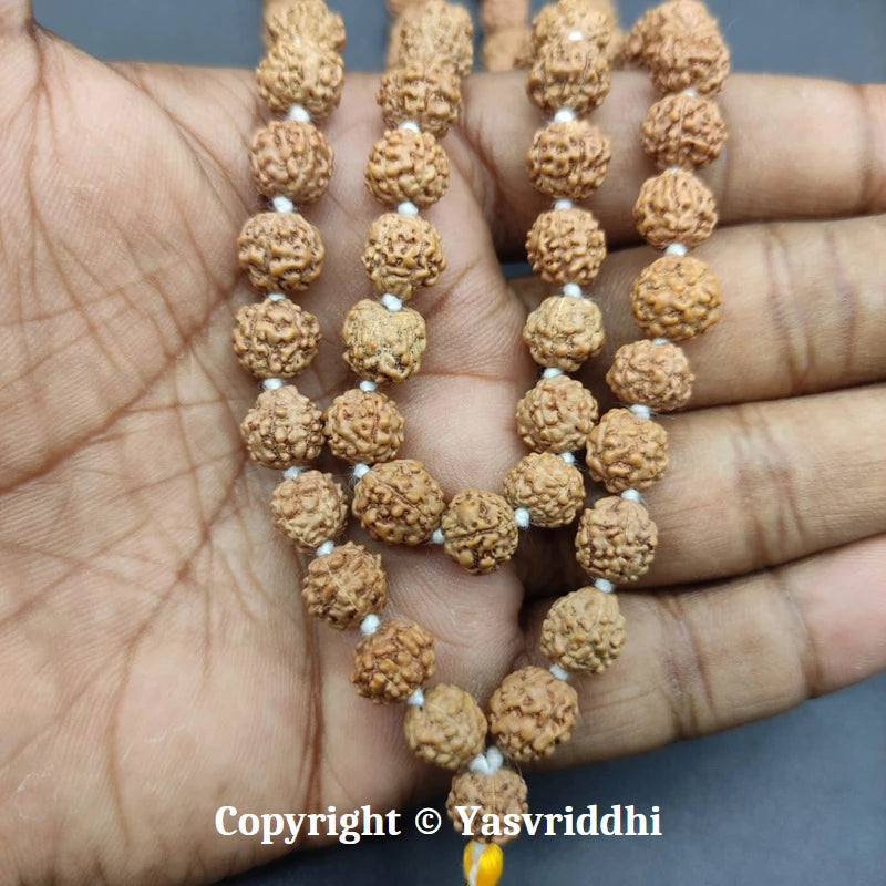 5 Mukhi Rudraksha Jaap Mala | Panchmukhi Rudraksha for Mantra Chanting, Meditation & Prayer | Yashvriddhi