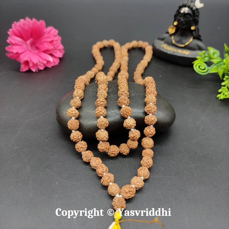 5 Mukhi Rudraksha Jaap Mala | Panchmukhi Rudraksha for Mantra Chanting, Meditation & Prayer | Yashvriddhi