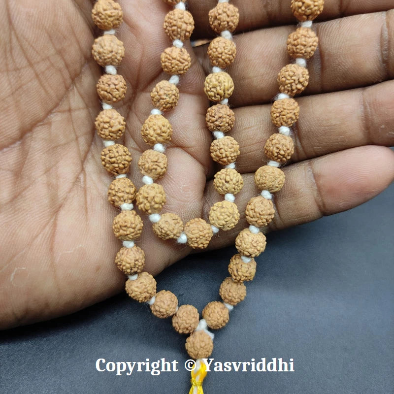 5 Mukhi Rudraksha Kantha Mala | Panchmukhi Rudraksha Necklace for Jap, Meditation & Prayer | Yashvriddhi