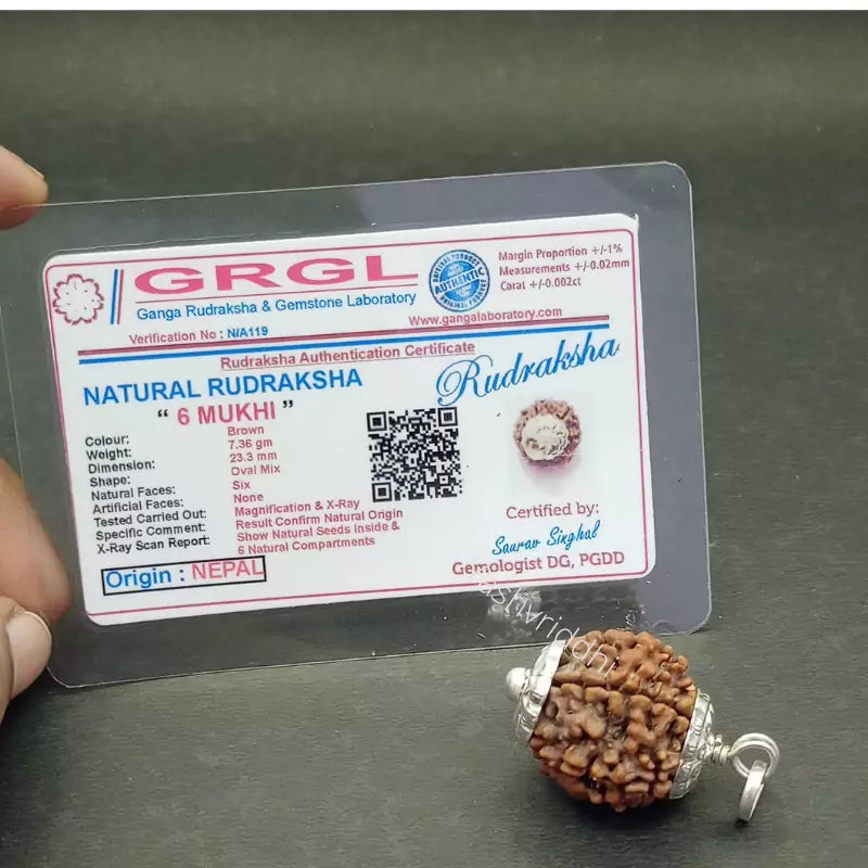 6 Mukhi Nepali Rudraksha Pendant 