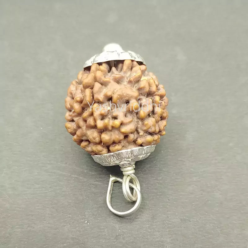 6 Mukhi Nepali Rudraksha Pendant 