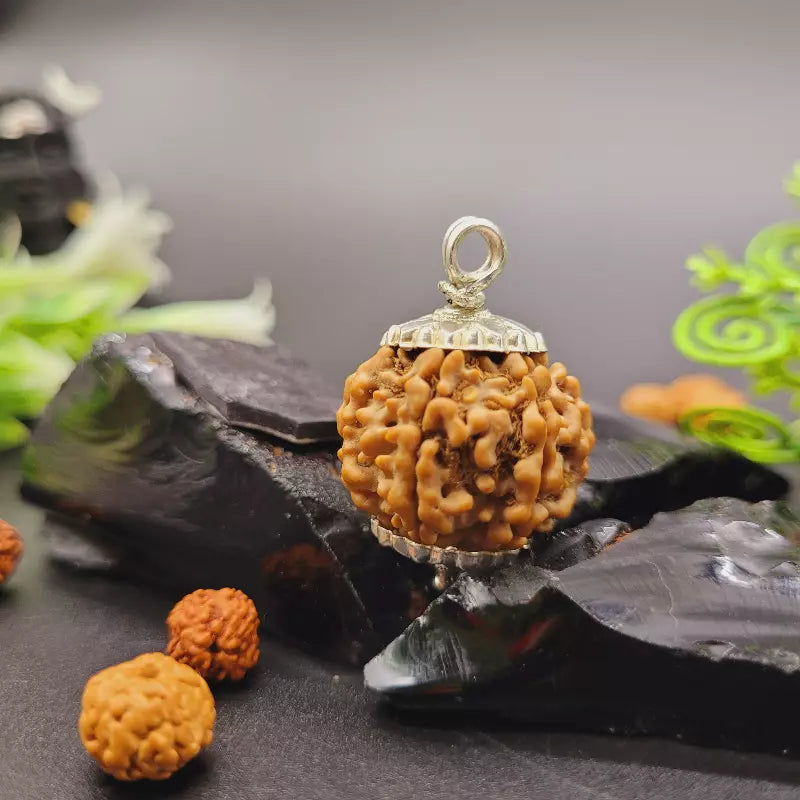 6 Mukhi Rudraksha Pendant | 6 Face Rudraksha for Jap, Meditation & Devotional Practice