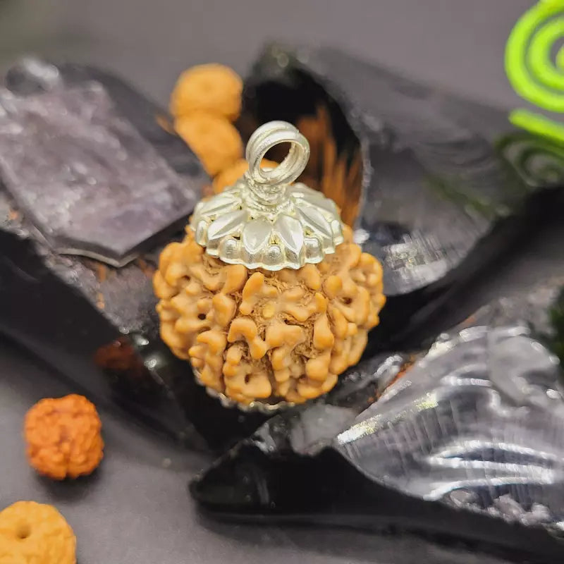 6 Mukhi Rudraksha Pendant 