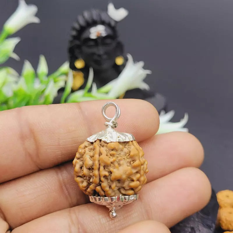 6 Mukhi Rudraksha Pendant 