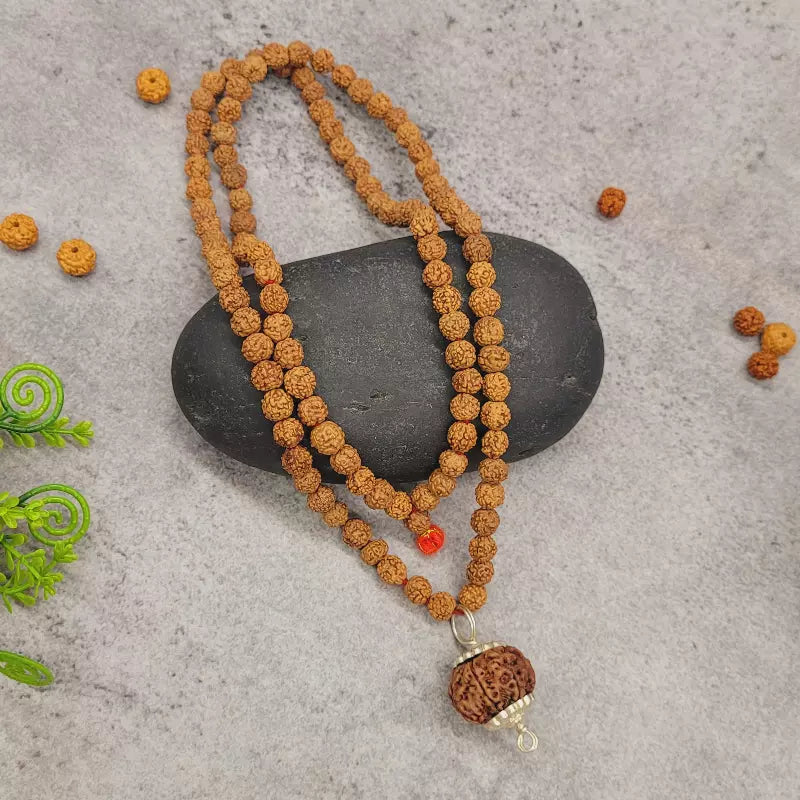 7 Mukhi Rudraksha Kavach | Seven Face Rudraksha for Jap, Meditation & Devotional Practice | Yashvriddhi
