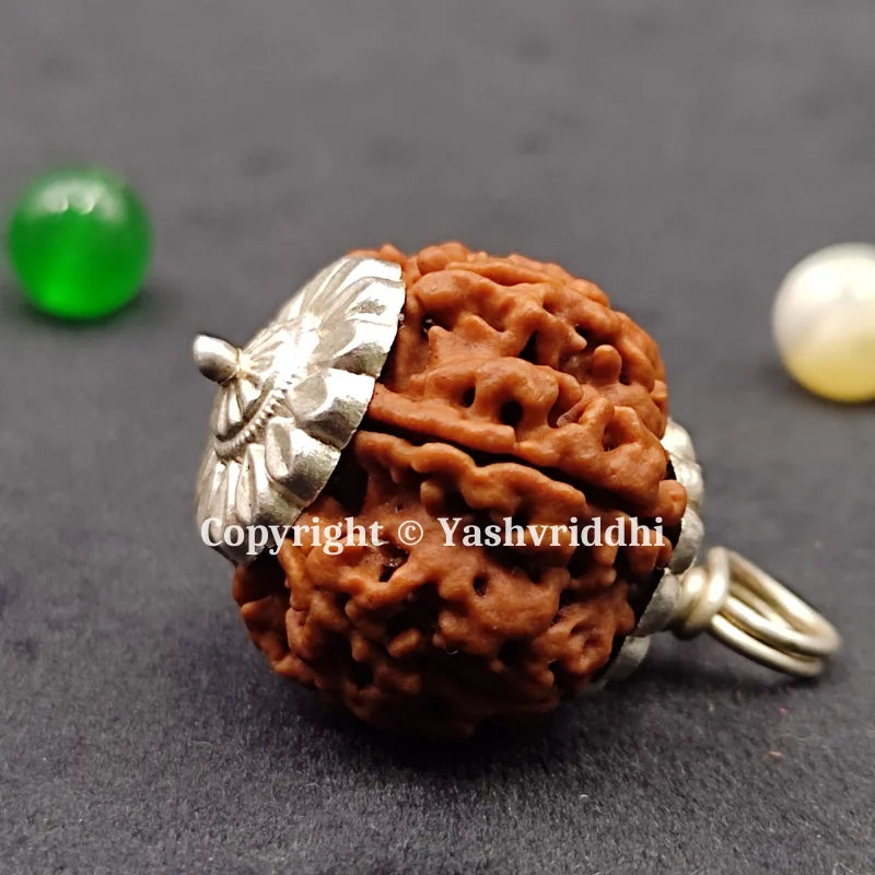 8 Mukhi Rudraksha Pendant with X-Ray 