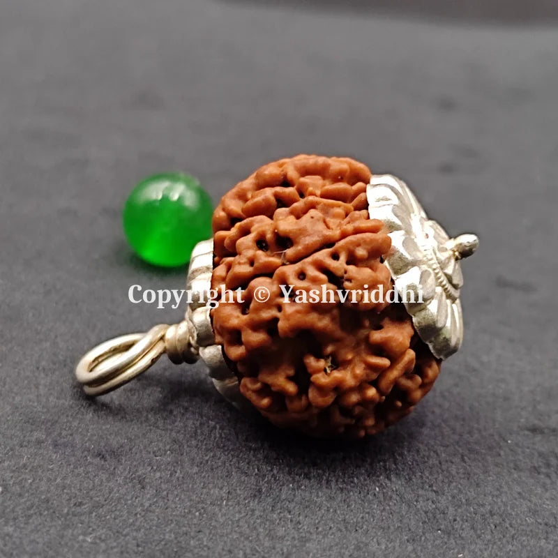 8 Mukhi Rudraksha Pendant with X-Ray 
