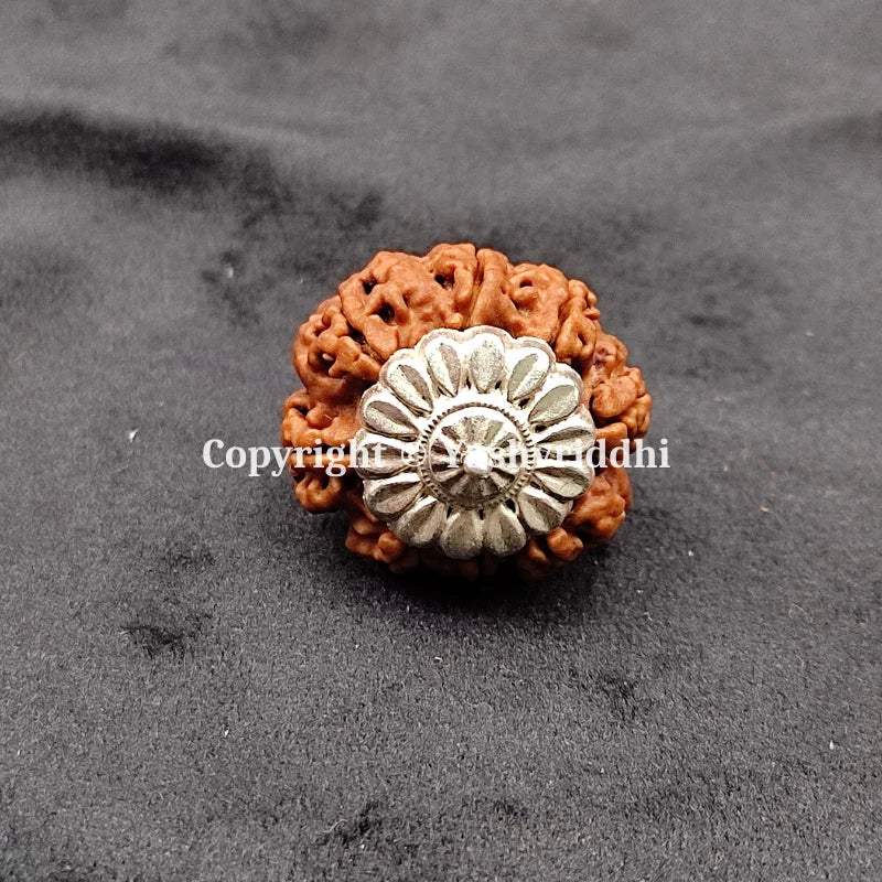 8 Mukhi Rudraksha Pendant with X-Ray 