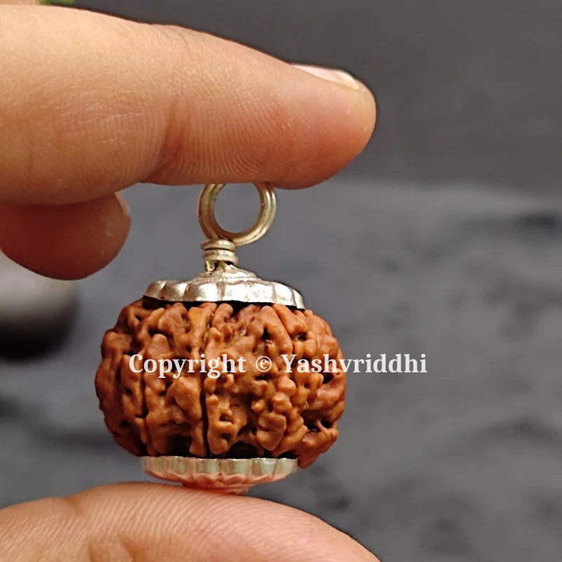 8 Mukhi Rudraksha Pendant with X-Ray 