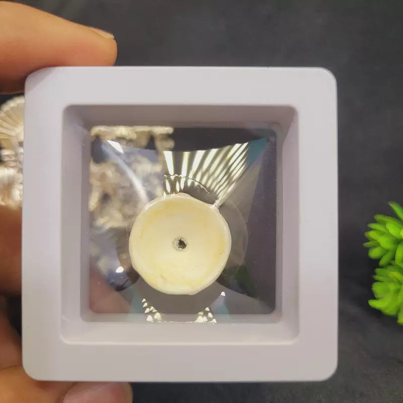 Natural Mangalmani Stone | Traditional Mangal Gemstone for Astrology & Jewellery | Yashvriddhi