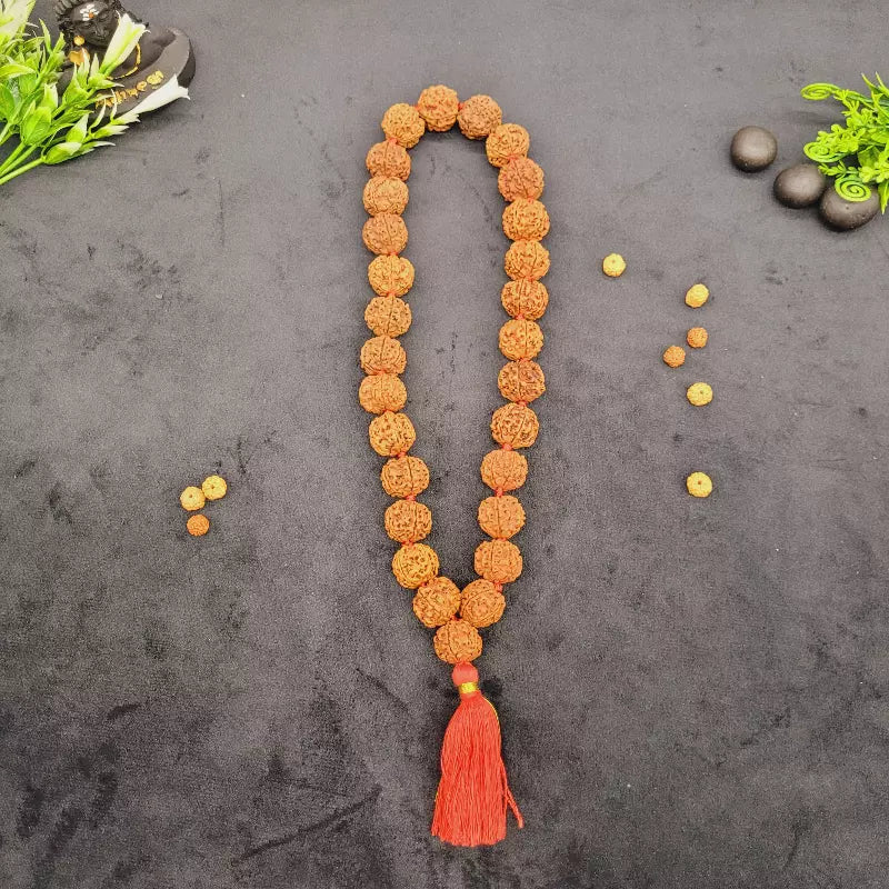 Nepali 5 Mukhi Rudraksha Kantha Mala | 27+1 Beads for Jap, Meditation & Prayer | Yashvriddhi