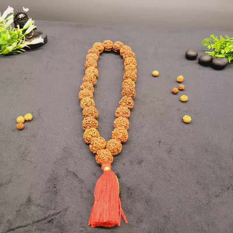 Nepali 5 Mukhi Rudraksha Kantha Mala | 27+1 Beads for Jap, Meditation & Prayer | Yashvriddhi