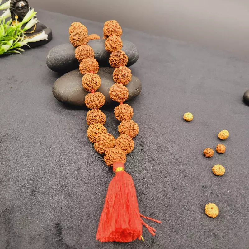 Nepali 5 Mukhi Rudraksha Kantha Mala | 27+1 Beads for Jap, Meditation & Prayer | Yashvriddhi