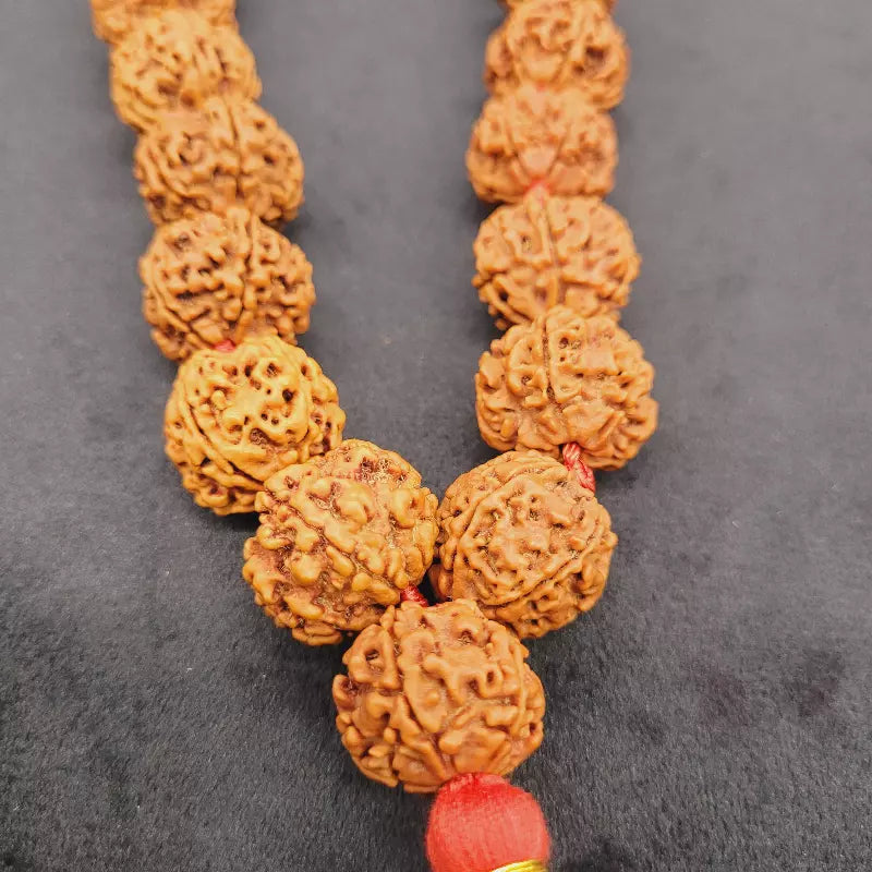 Nepali 5 Mukhi Rudraksha Kantha Mala 