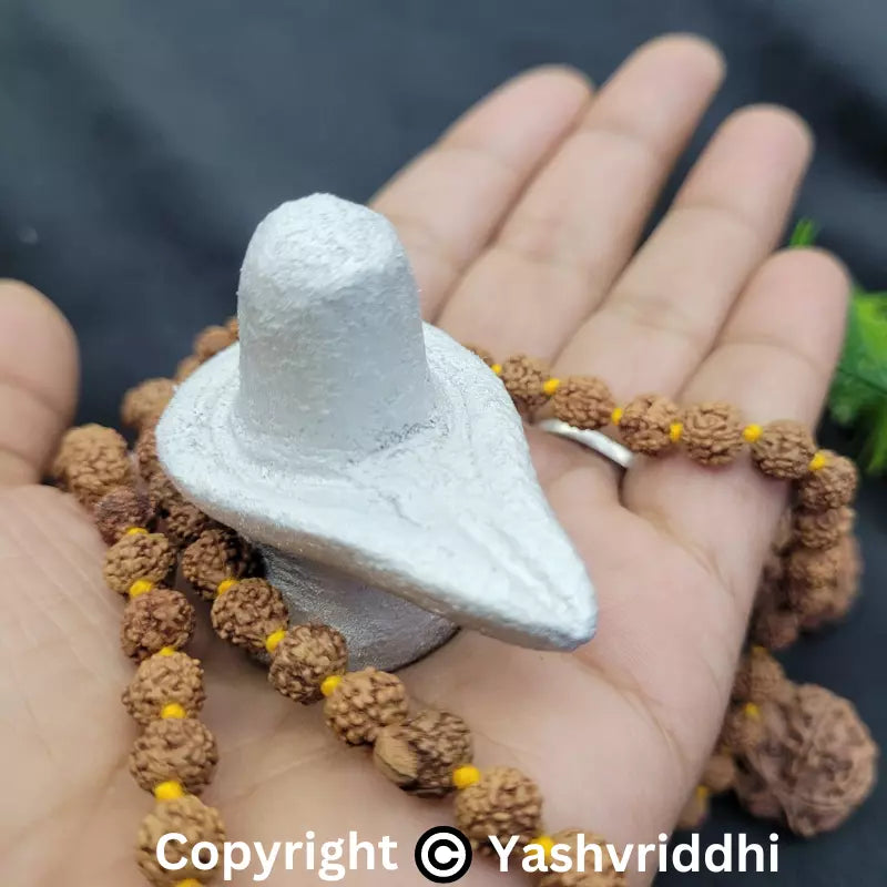 Original Parad Shivling | Mercury Shiva Lingam for Traditional Pooja | Yashvriddhi