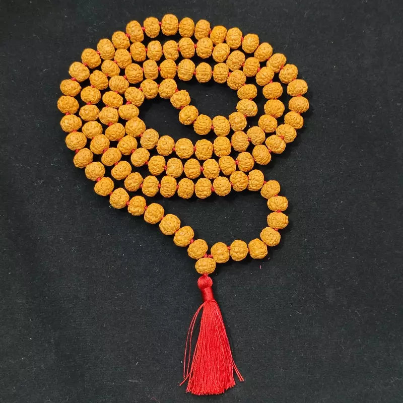 Rudraksha Chikana Pathari Mala | Traditional Rudraksha Mala for Jap & Meditation | Yashvriddhi