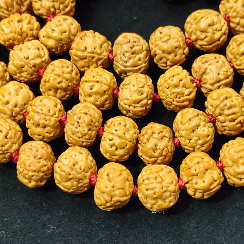 Rudraksha Chikana Pathari Mala Close View
